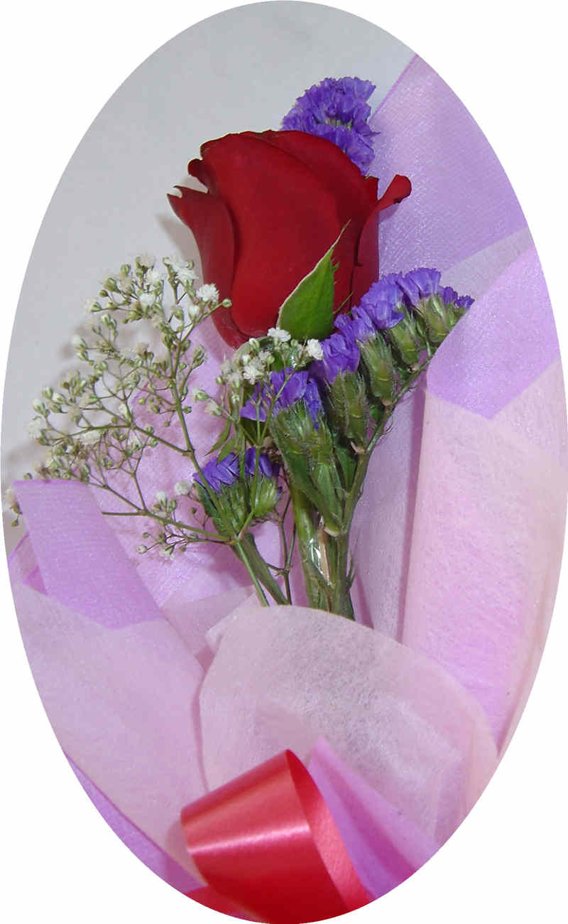  Gambar Bunga Mawar Dan Kata Romantis  Gambar  V